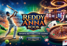 How Reddy Anna Book Makes Deposits and Withdrawals Hassle-Free