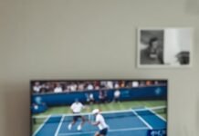 NewLotus365 Guide: How to Enjoy Cricket and Online Games Safely