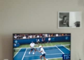 NewLotus365 Guide: How to Enjoy Cricket and Online Games Safely